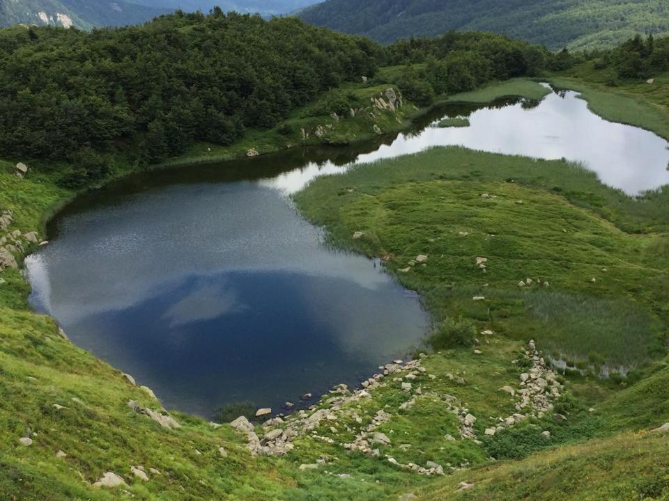 Val Di Luce - Delizioso Appartamento 6 Posti Letto - Accesso Diretto Alle Piste Da Sci Abetone Eksteriør bilde